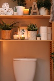 Photo of Stylish bathroom interior with toilet bowl and green plants