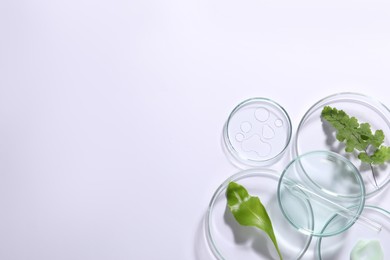 Photo of Organic cosmetic product, natural ingredients and laboratory glassware on white background, top view. Space for text