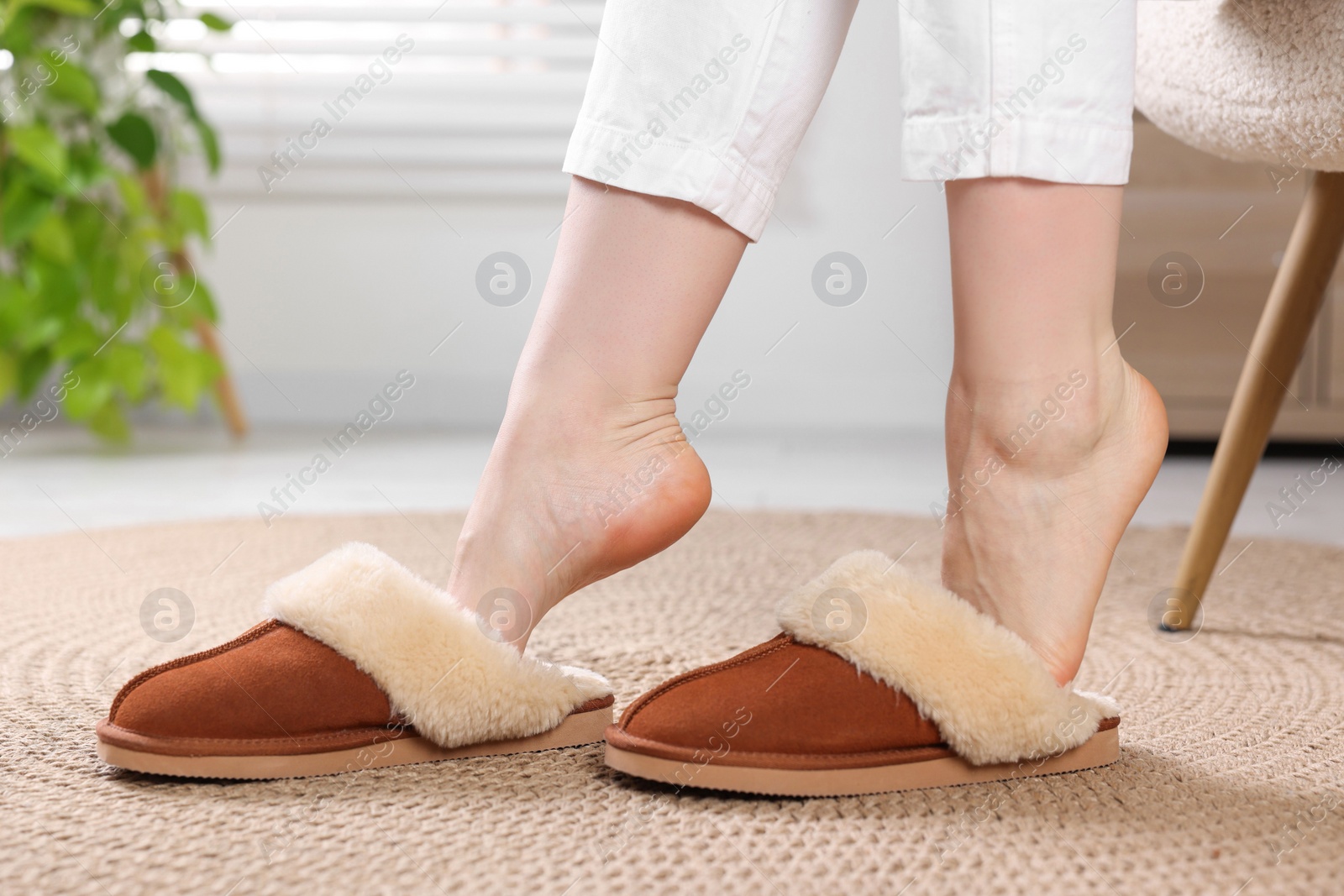 Photo of Woman in soft slippers at home, closeup