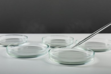 Photo of Pipette over petri dish on light table against grey background