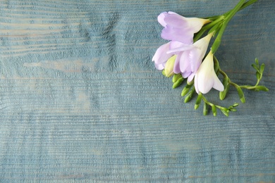 Beautiful fresh freesia flowers on wooden background, top view. Space for text