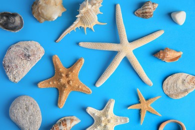 Photo of Many starfishes, stones and shells on blue background, flat lay