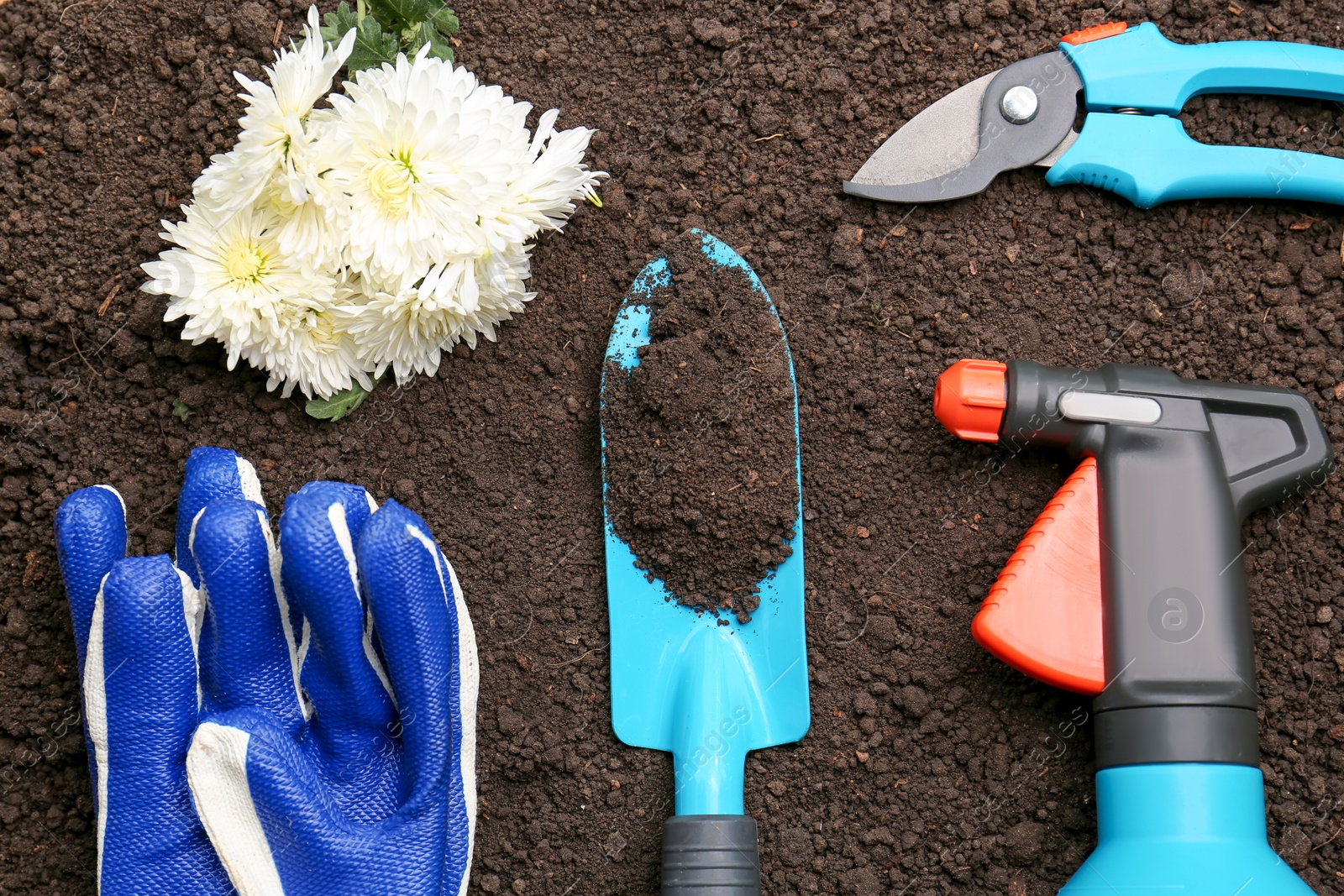 Photo of Gardening tools, gloves and flowers on fresh soil, flat lay
