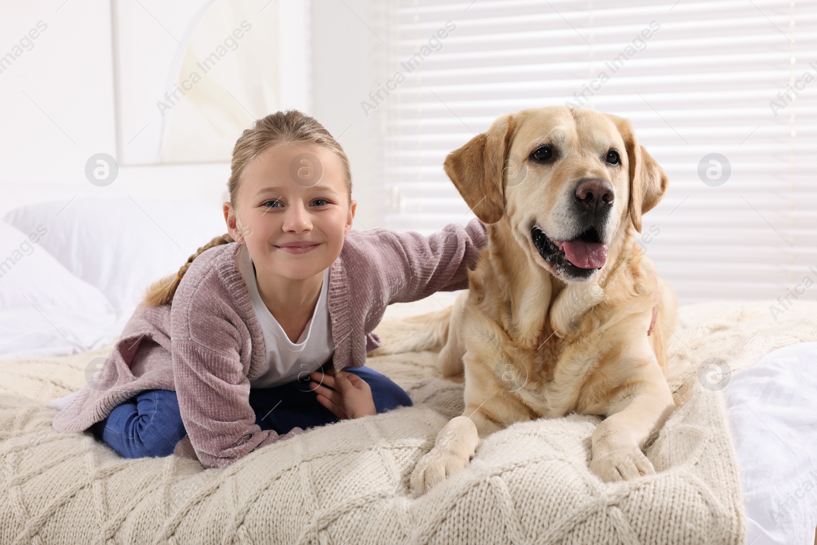 Photo of Cute child with her Labrador Retriever on bed at home. Adorable pet