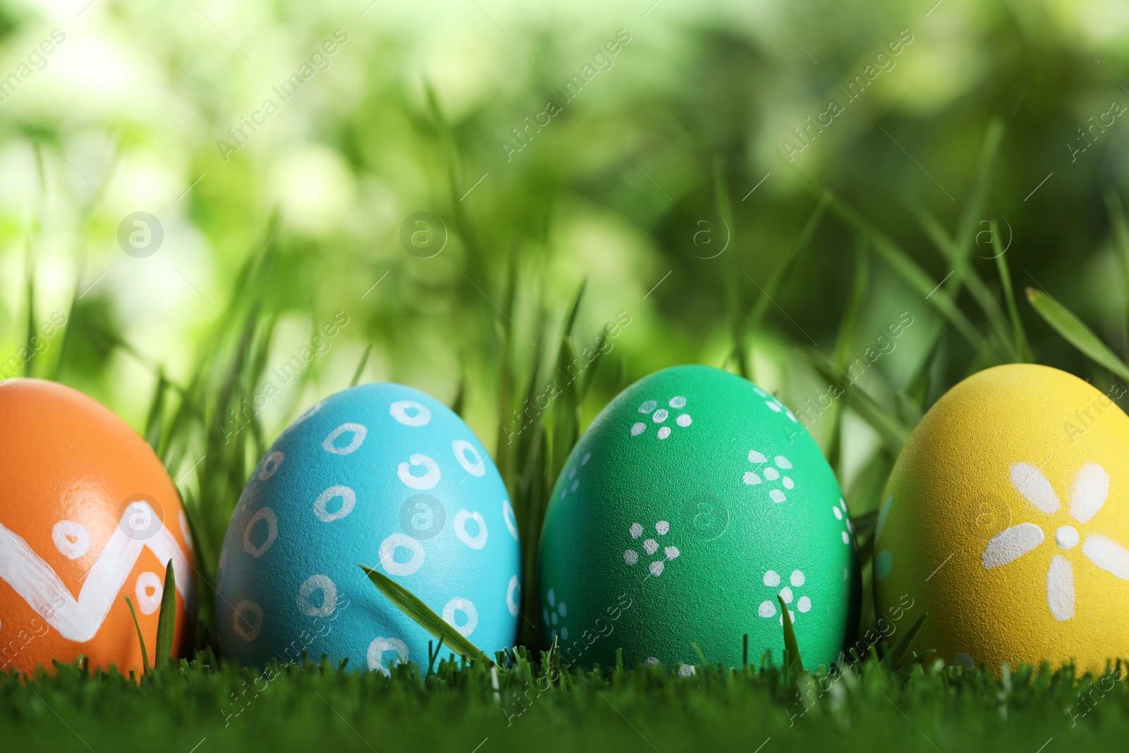 Photo of Colorful Easter eggs in green grass, closeup