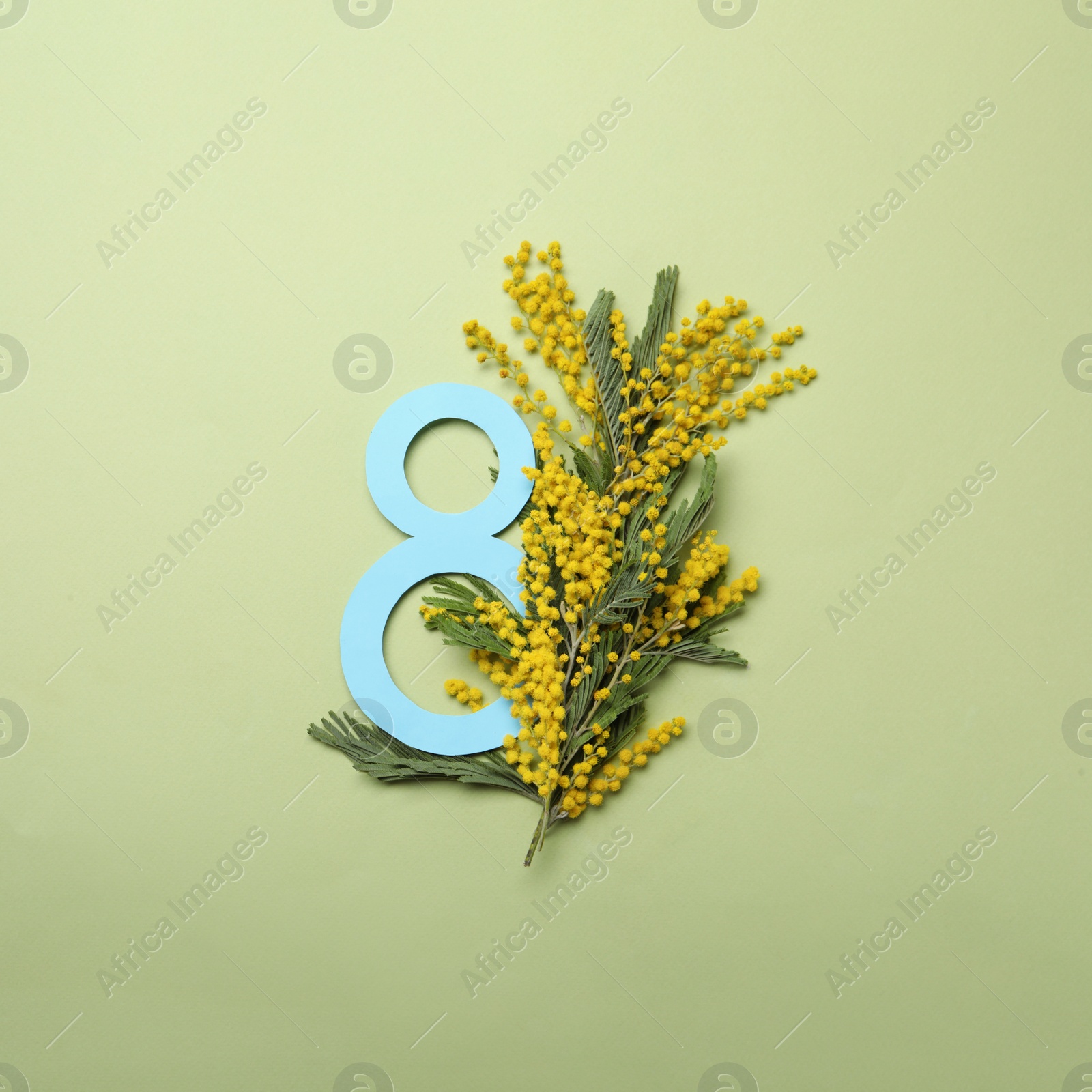 Photo of 8 March greeting card design with beautiful mimosa flowers on green background, flat lay