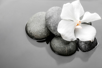 Photo of Stones and orchid flower in water. Zen lifestyle