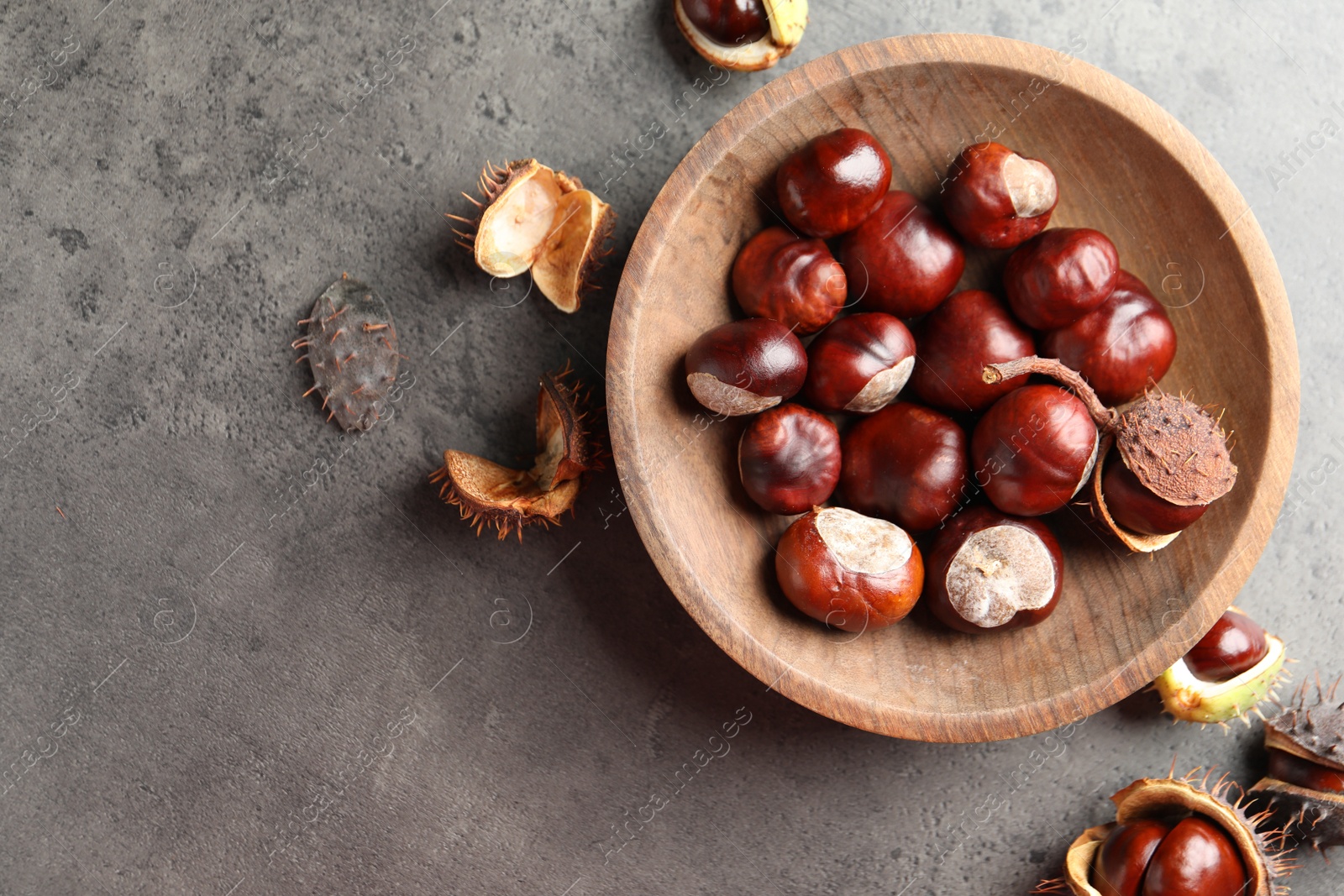 Photo of Horse chestnuts in wooden plate on grey table, flat lay. Space for text