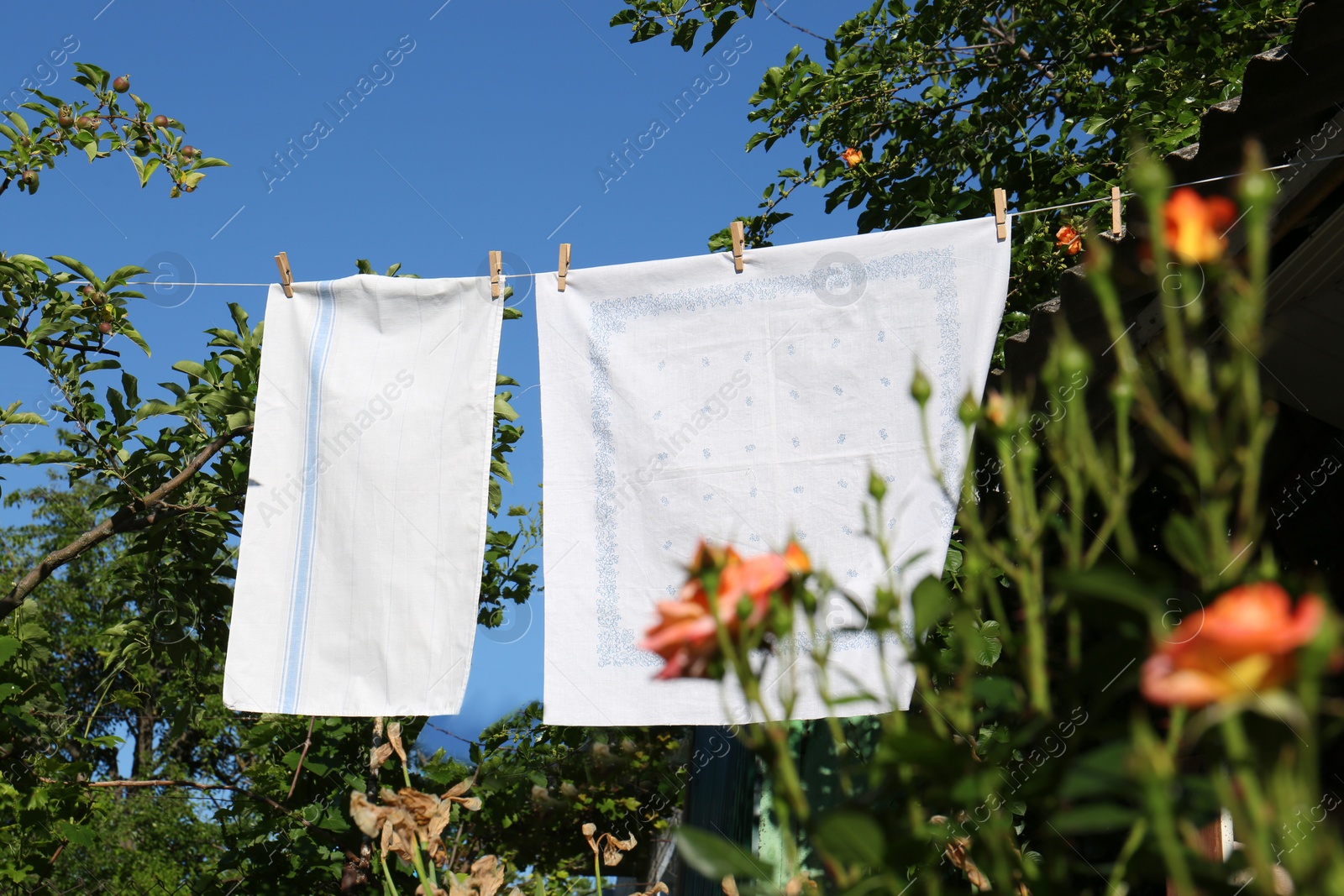 Photo of Washing line with clean laundry and clothespins outdoors