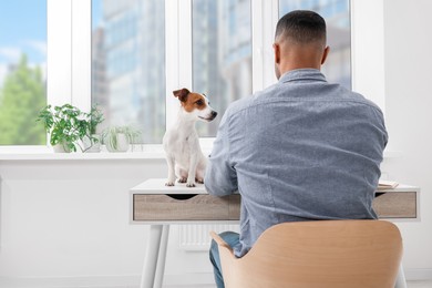 Photo of Young man with Jack Russell Terrier working at desk in home office, back view