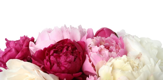 Bouquet of beautiful peonies on white background, closeup