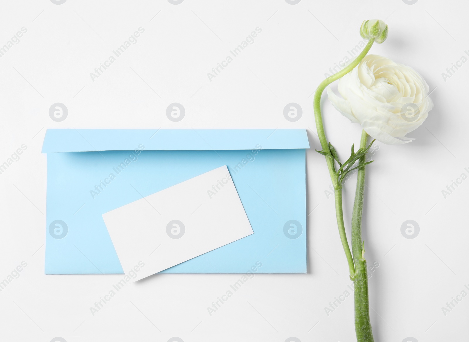 Photo of Envelope with card and beautiful ranunculus flower on white background, top view. Space for text