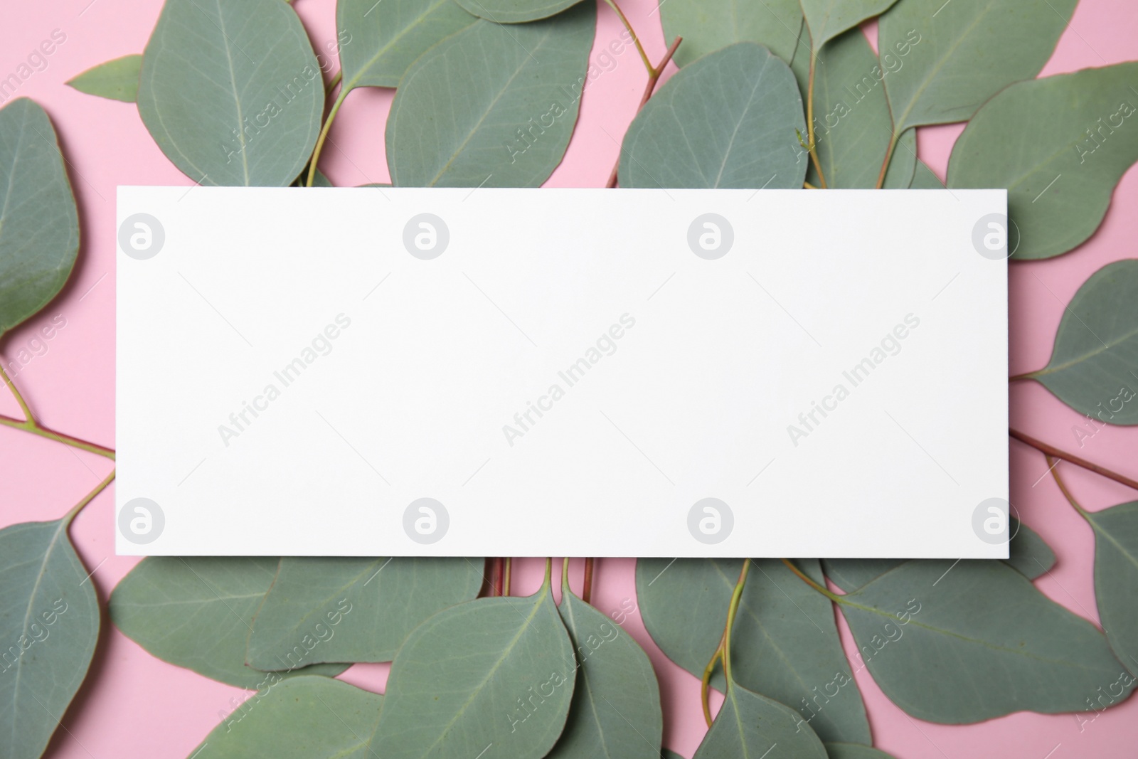 Photo of Fresh eucalyptus leaves and blank card with space for design on color background, top view