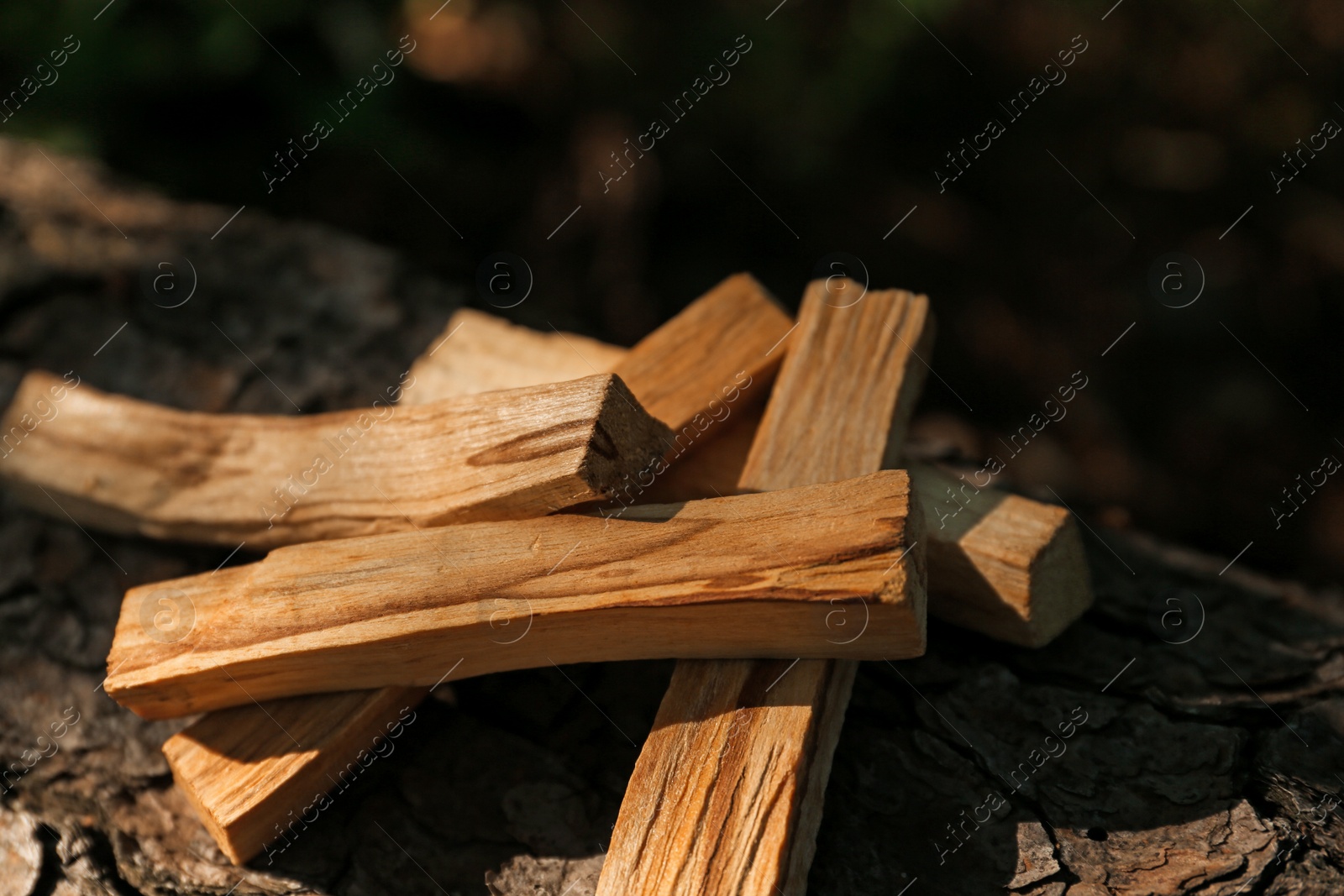 Photo of Palo santo sticks on tree bark outdoors, closeup