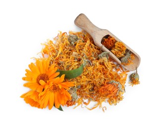 Photo of Pile of dry and fresh calendula flowers with wooden scoop on white background, top view
