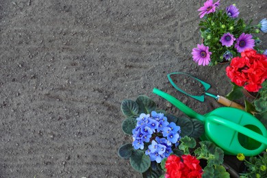 Photo of Beautiful blooming flowers and gardening tools on soil, flat lay. Space for text