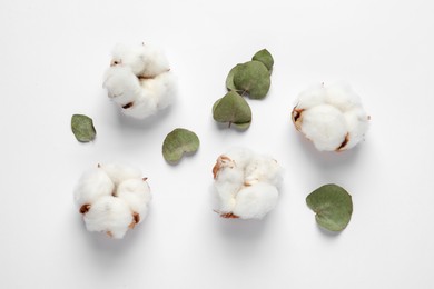 Photo of Fluffy cotton flowers and green leaves on white background, flat lay. Space for text