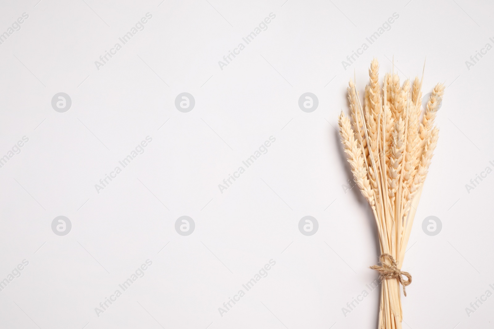 Photo of Bunch of beautiful dried flowers on white background, top view