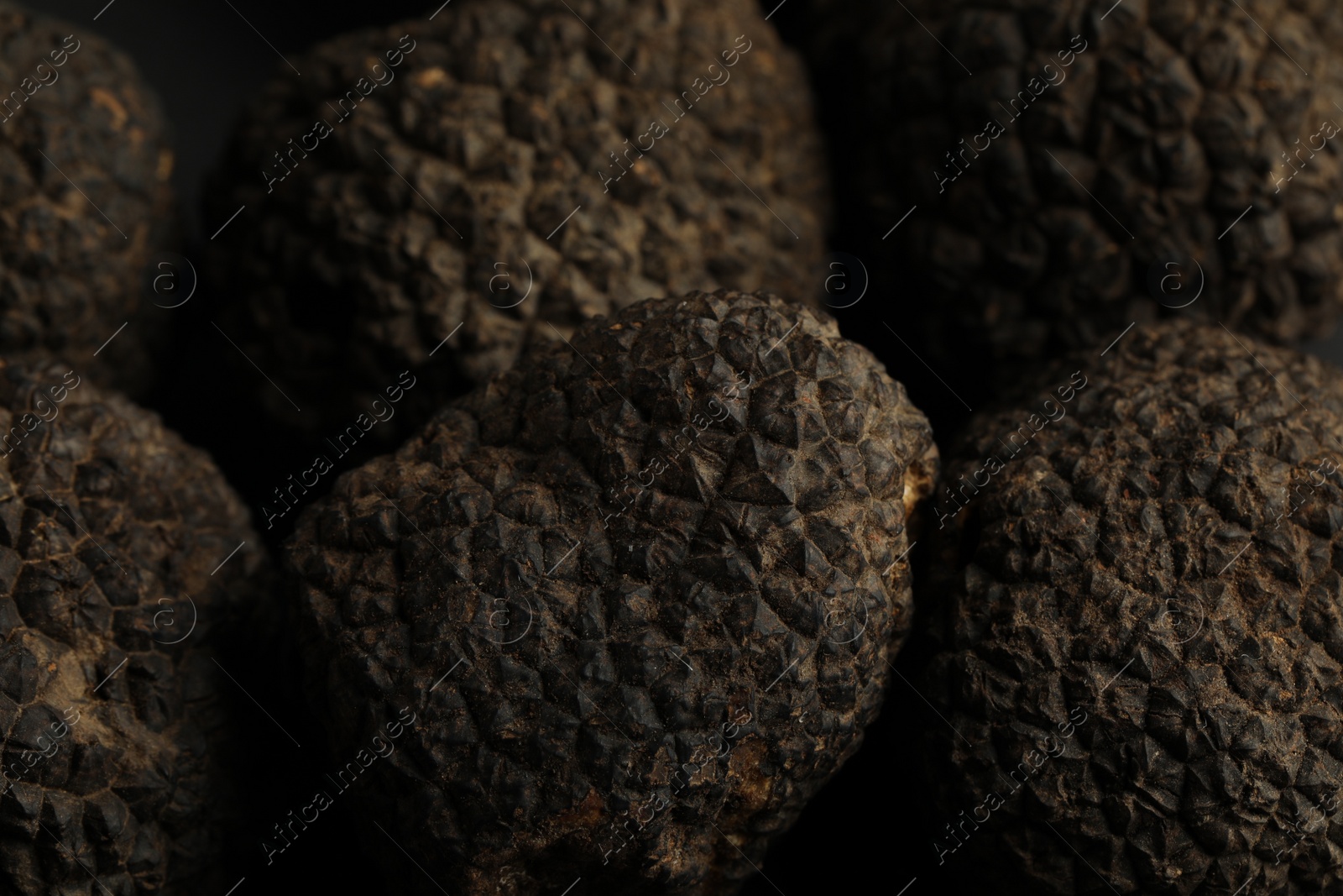 Photo of Closeup view of fresh whole black truffles