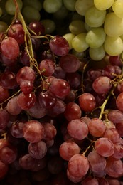 Photo of Many different fresh grapes as background, top view