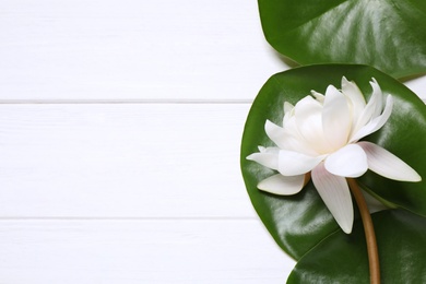 Photo of Beautiful blooming lotus flower with green leaves on white wooden table, flat lay. Space for text