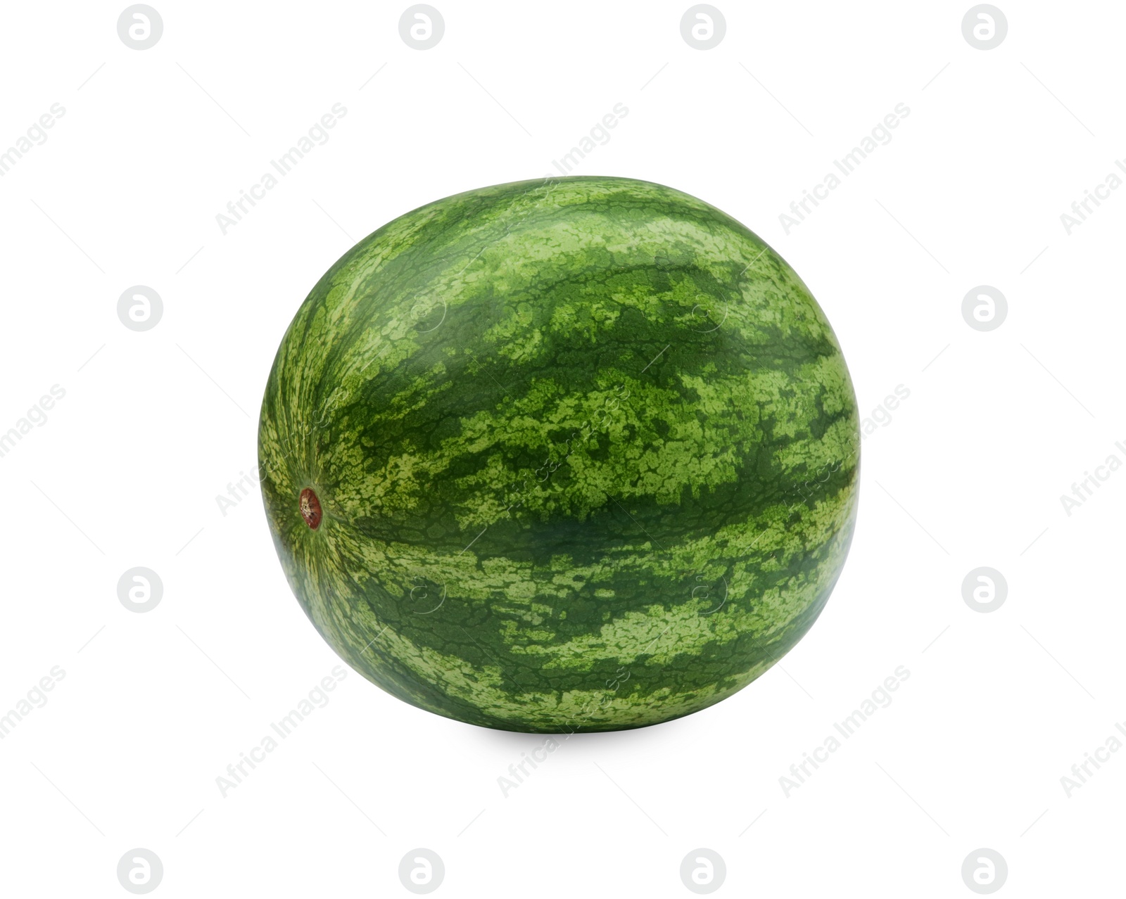 Photo of One whole ripe watermelon isolated on white