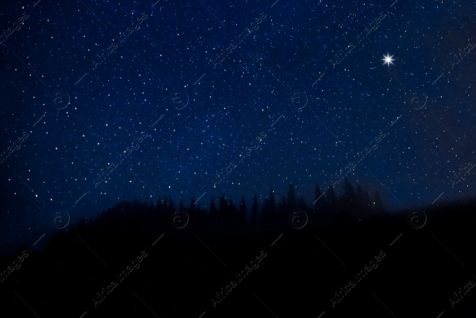 Image of Countless twinkling stars in night sky over forest