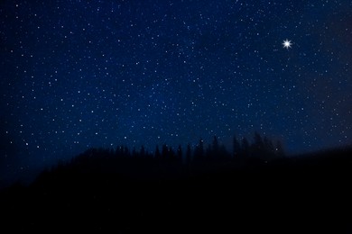 Image of Countless twinkling stars in night sky over forest