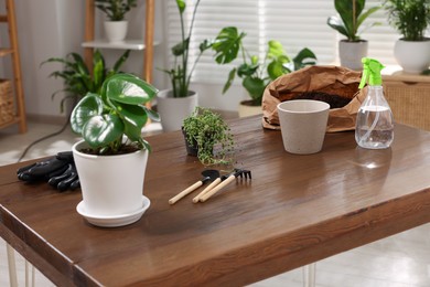 Photo of Houseplants, pot, soil and tools for transplanting on wooden table indoors