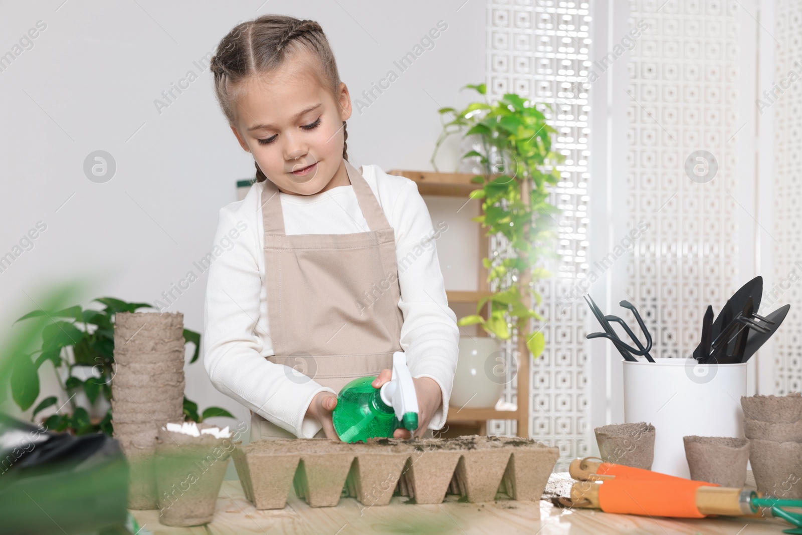 Photo of Little girl spraying water onto vegetable seeds in peat pots at wooden table in room