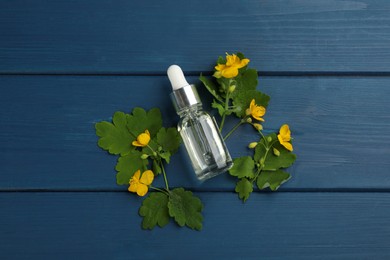 Photo of Bottle of natural celandine oil near flowers on blue wooden table, flat lay