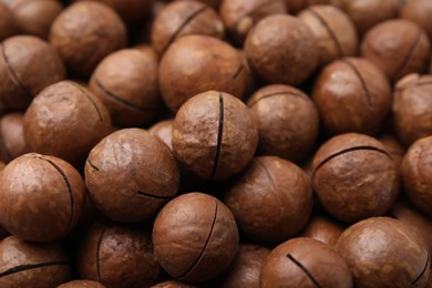 Tasty Macadamia nuts as background, closeup view