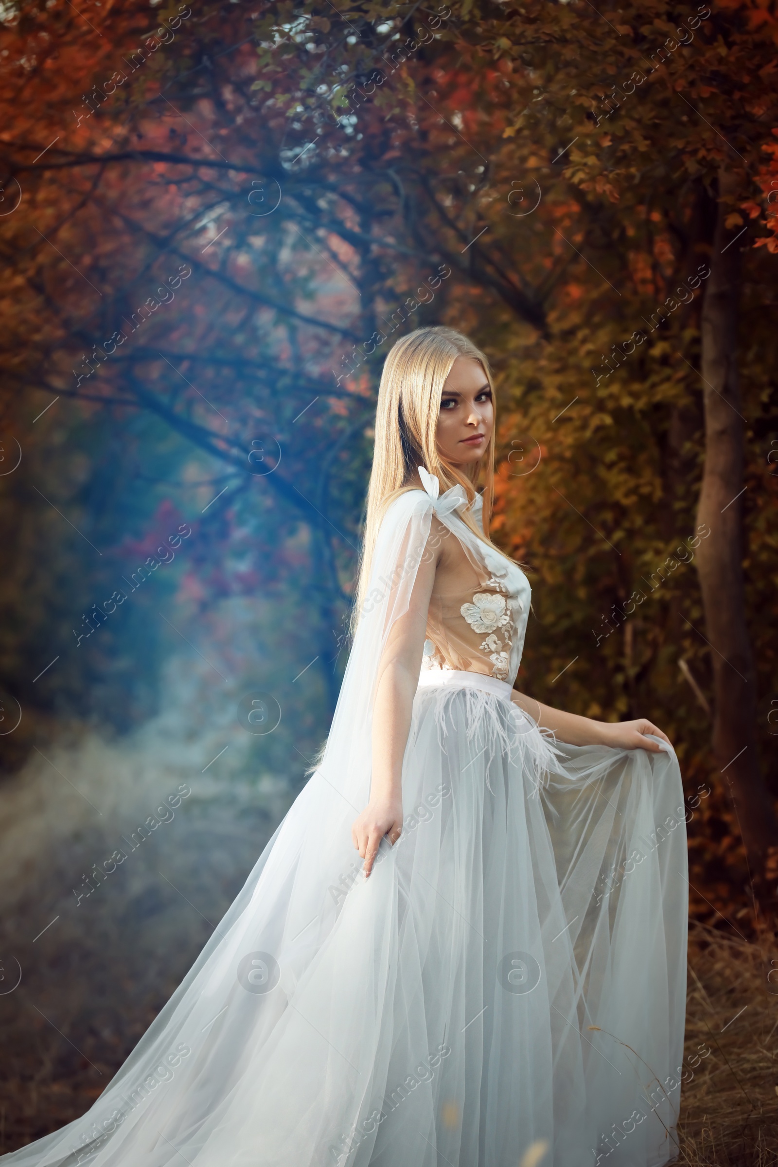 Photo of Beautiful girl wearing fairy dress in autumn forest