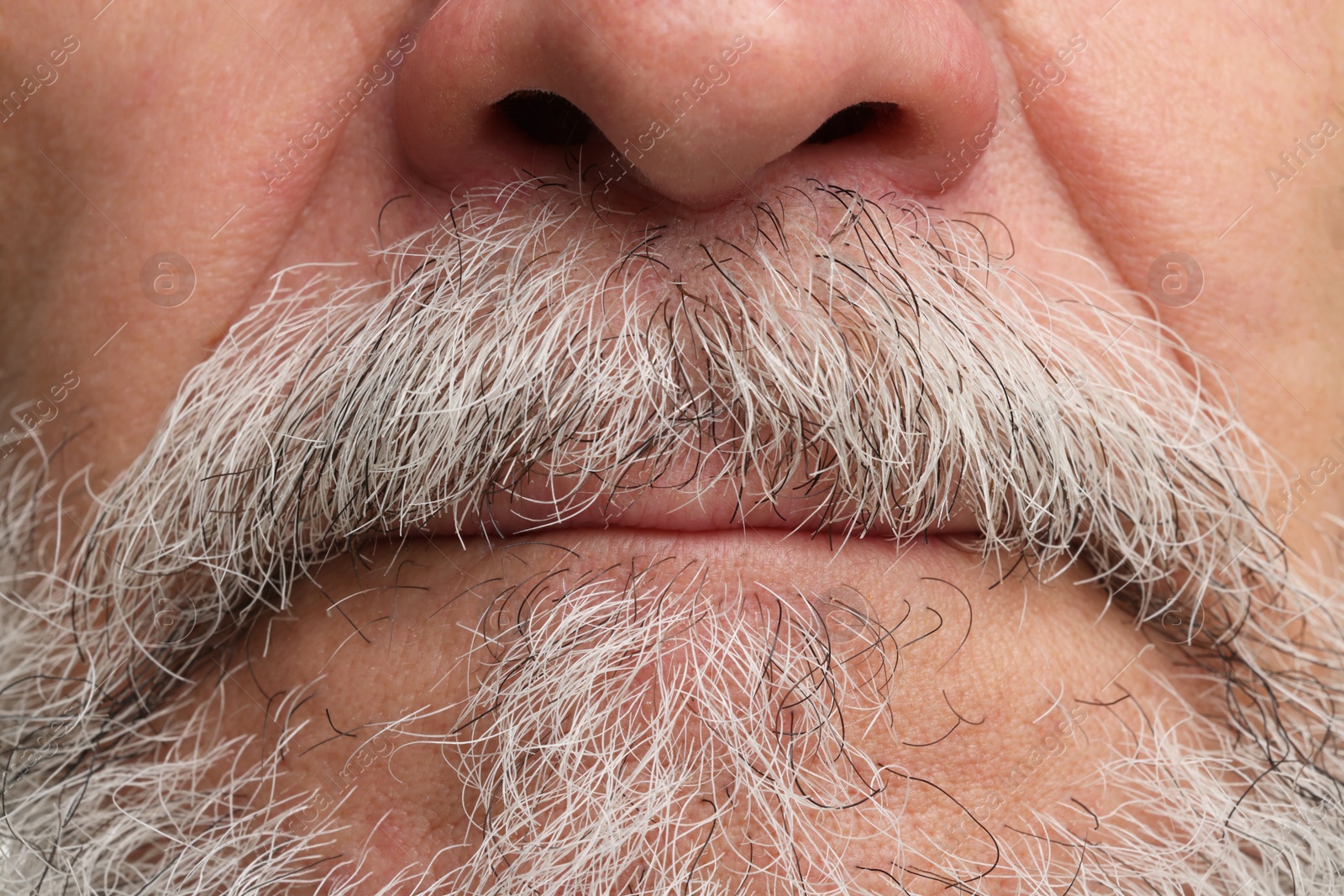 Photo of Man with mustache and beard, closeup view