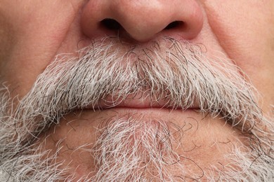 Man with mustache and beard, closeup view