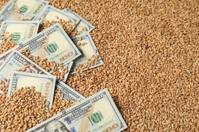 Dollar banknotes on wheat grains. Agricultural business