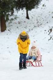 Photo of Little boy pulling sledge with his sister through snow in winter park