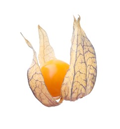 Ripe physalis fruit with calyx isolated on white