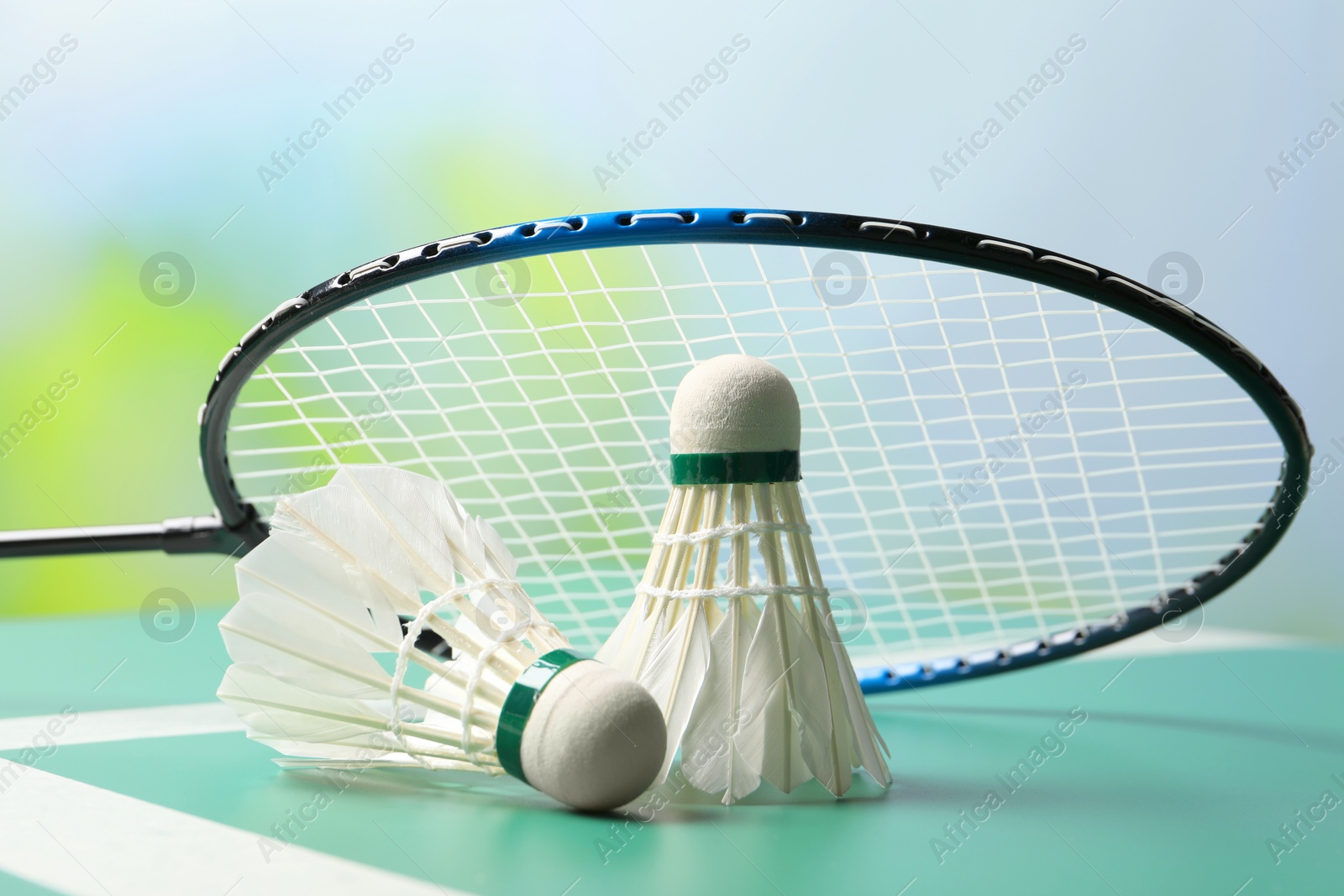 Photo of Feather badminton shuttlecocks and racket on green table against blurred background, closeup