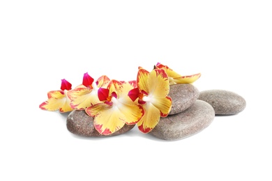 Photo of Spa stones and orchid flowers on white background