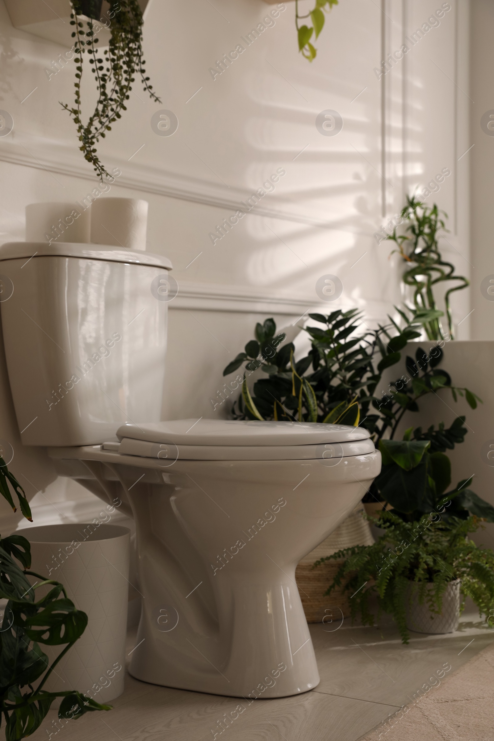 Photo of White toilet bowl and green houseplants in bathroom. Interior design