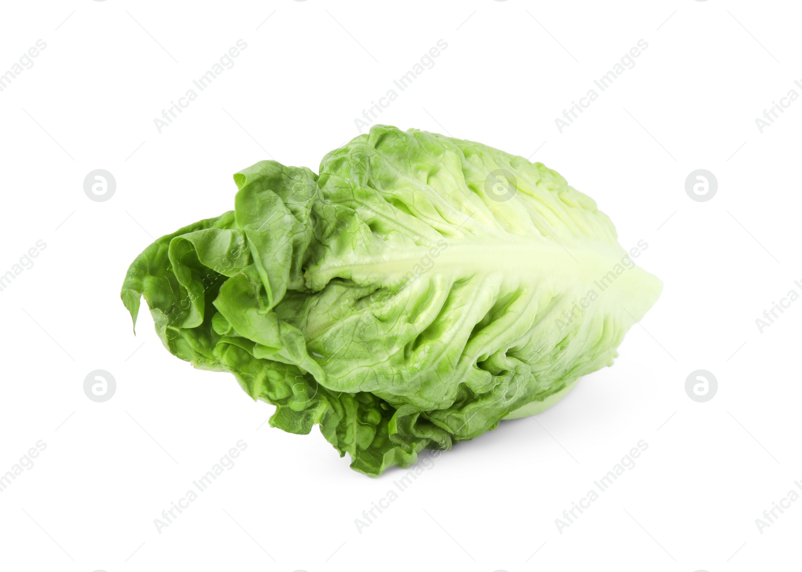 Photo of Fresh green romaine lettuce isolated on white