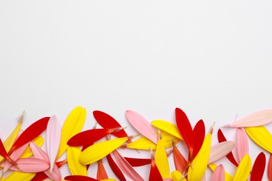 Pile of beautiful petals on white background, top view. Space for text