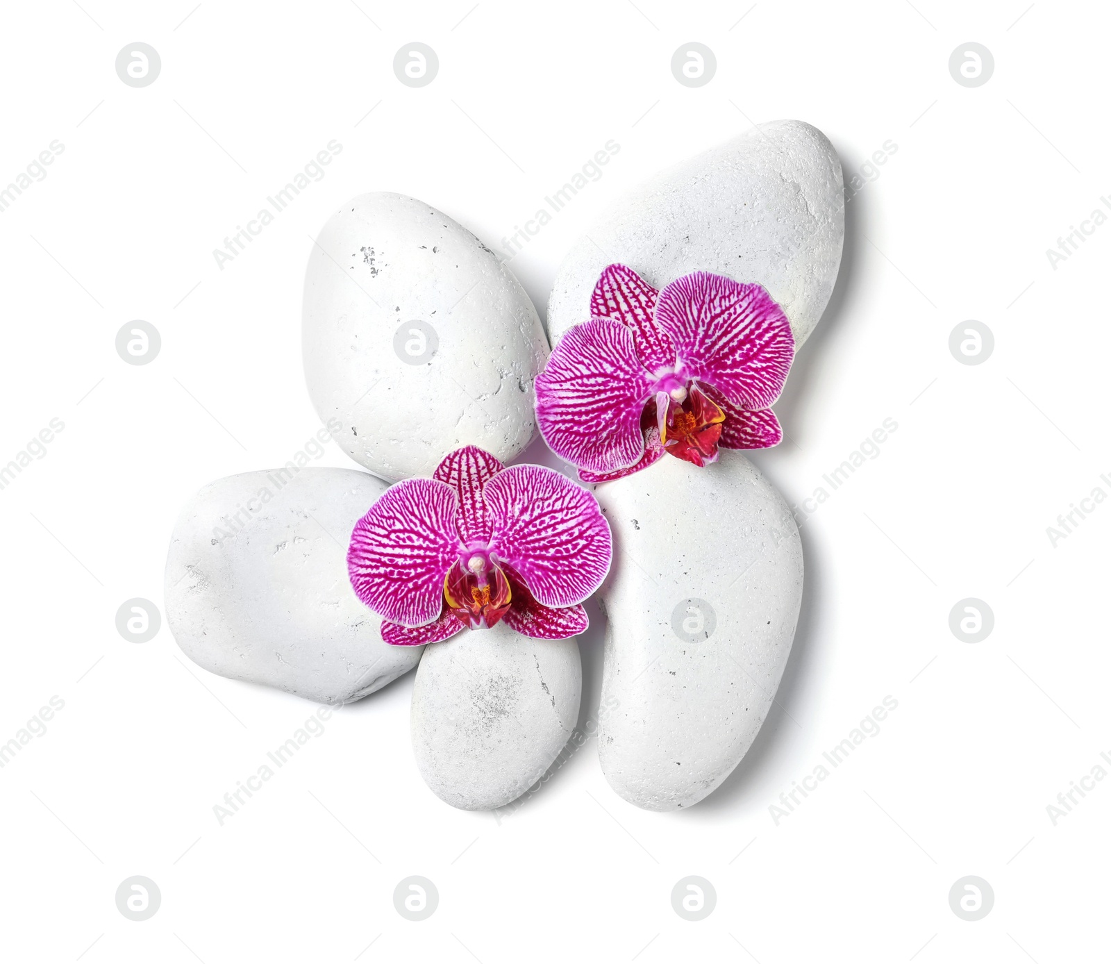 Photo of Spa stones with orchid flowers on white background, top view