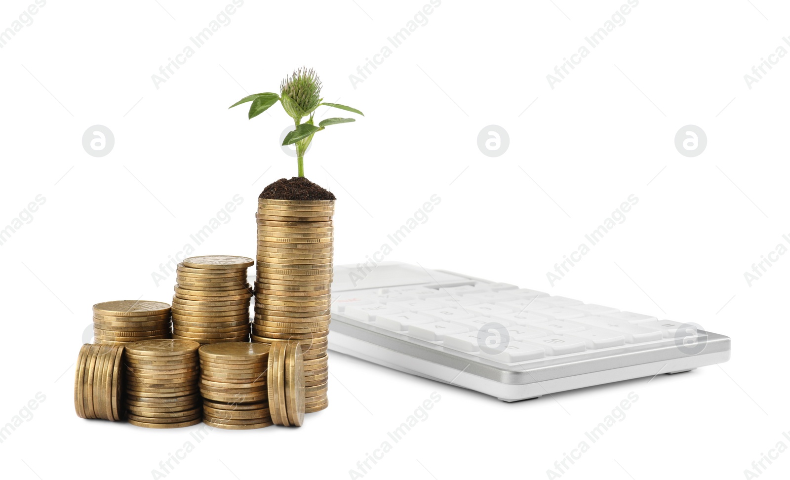 Photo of Stacks of coins with flower and calculator isolated on white. Investment concept