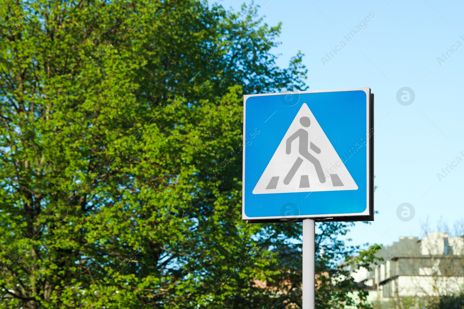 Photo of Post with Pedestrian Crossing traffic sign in city on sunny day