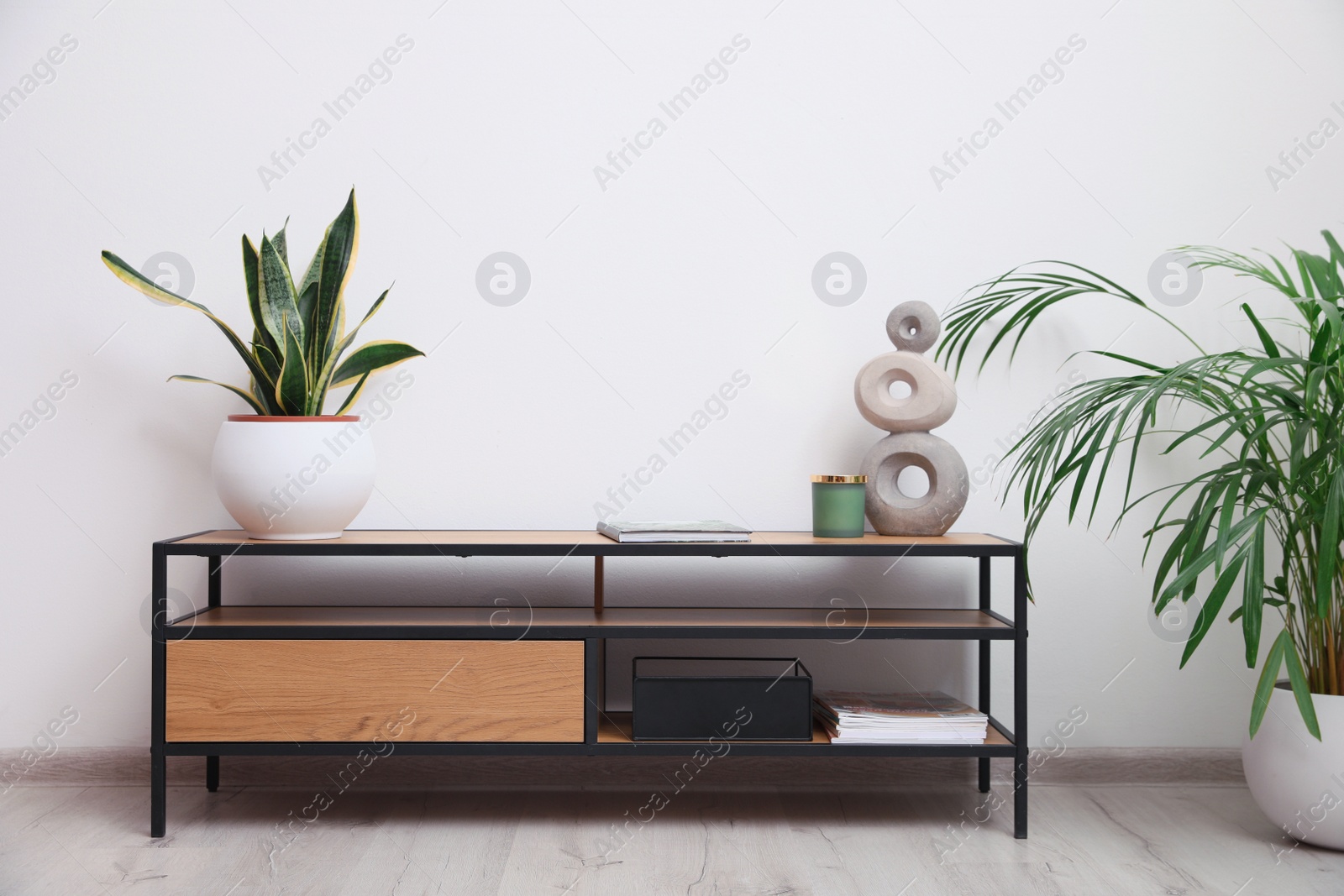 Photo of Elegant room interior with wooden cabinet and beautiful houseplants near white wall