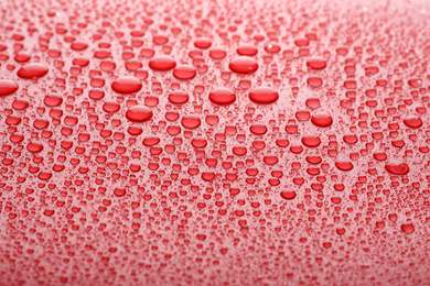 Water drops on red background, closeup view