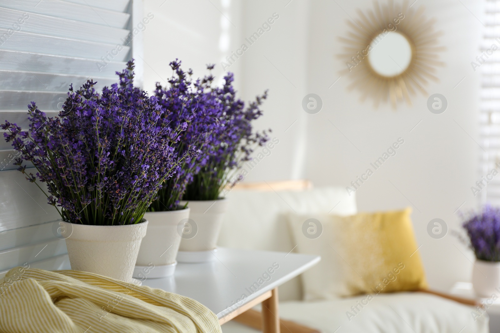 Photo of Beautiful lavender flowers and yellow shirt on white table indoors. Space for text