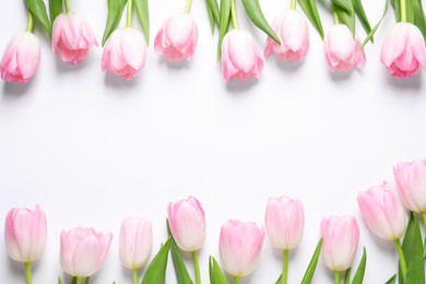 Beautiful pink spring tulips on white background, top view. Space for text